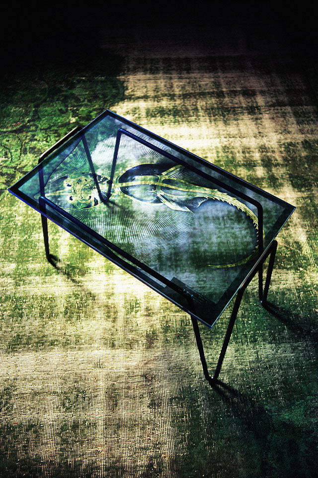 XRAYDIO STINGRAY XRAYDIO STINGRAY